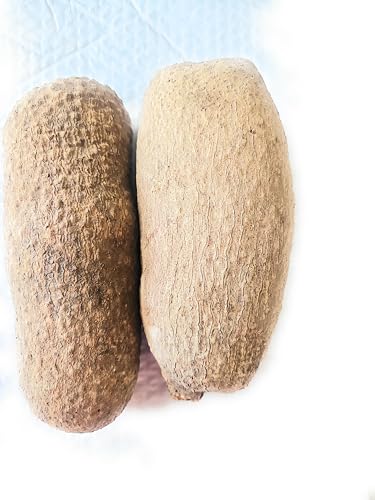 New Ghana Yam, 7-8lb 2 Large Tubers