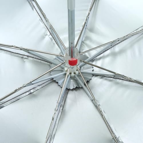Image of John's 585 Leo 5 FOLD Umbrella
