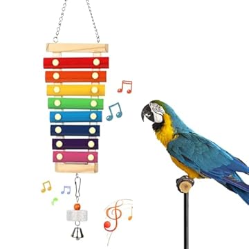bird toys for cockatoos