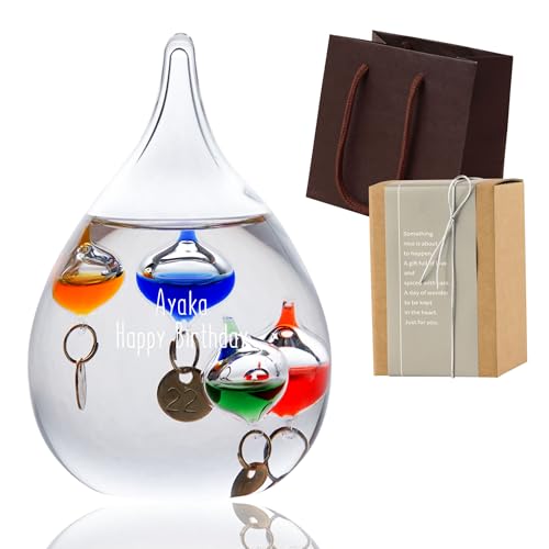   KIxv SSTCY X^[t[ Mtg 蕨