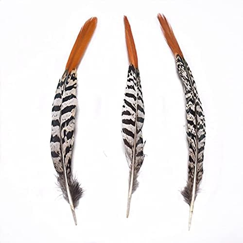 20Pcs Natural Pheasant Feather Crafts DIY Plume Wedding Party Feathers Hair Jewelry Making Carnival Headwear Decorations 5-30cm - 25-30cm to 10-12inch - Zamihalaa