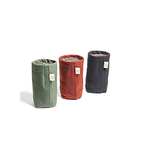 Kit 3 Vasos de Feltro 1 Litro - King Pot (Mix)