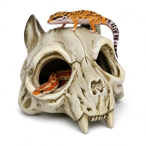WTSOH Reptile Hide Cave Fox Skull Design Resin Hideout for Leopard Gecko Snake & Lizard Multi-Entry Terrarium Shelter 5.31 5.83 6.1(Fox Skull)
