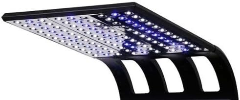 JBJ Flipper FL-208 10.8 LED Light - Black