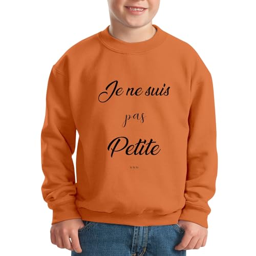 Sweatshirt enfant humour haut de gamme pull blague rigolo finitions soignées - 2