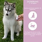 AGGRESSIONS FREI Bachblüten Globuli für Hunde & Katzen – 1.200 Bio-Zucker Globuli bei aggressivem Verhalten & Bissigkeit – Natürliche Blütenessenzen für Gelassenheit