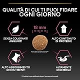 Purina Pro Plan - Medium Adult Sensitive Skin Chien, Saumon - Sac de 14 kg - 6
