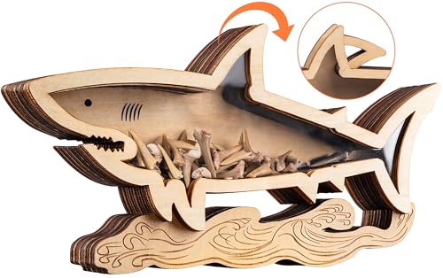 Shark Tooth Display Case 8.7 Inch,Wooden Shark Tooth Holder,Wood Shark Tooth Shadow Box,Shark-Shaped Display for Shark Tooth Collectors,Gifts for Vacation Beach Home Decor