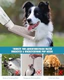 550ml Tragbare Haustier Trinkflasche, 150°klappbare Ausführung, Hundetrinkflasche für Unterwegs,Drehbare Wassersperrfunktion,Hund Wasserflasche,Hundetrinkflasche für Wanderungen,Reisen,Camping (Grau)