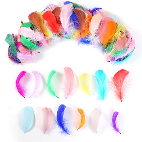 600Pcs Colorful Feathers 20 Colors Craft Feathers 3-5 Inches Assorted Rainbow Colors Feathers For Kids Handmade Wedding Diy Decorations Natural Feather #TOP2