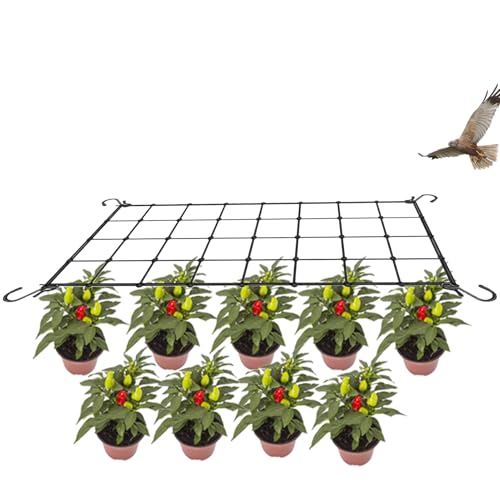 Wachsen Zelt Netz, 60x90 cm Pflanzennetz Elastische Ranknetz Für Kletterpflanzen Gartennetze Mit 4 Haken Ranknetz, Kletterpflanzen Pflanzennetz Für Gurken, Tomate, Obst