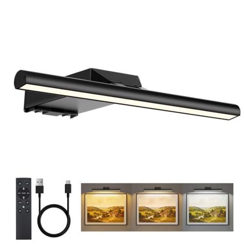 Image of Neymlya Picture Lights for Wall, 30CM 10000mAh Rechargeable Wall Lights
