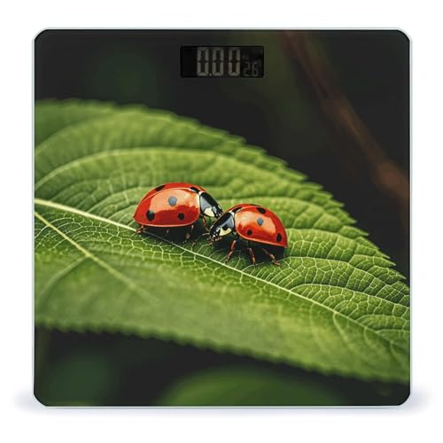 Báscula Digital de Baño con Vidrio Templado miniatura 1
