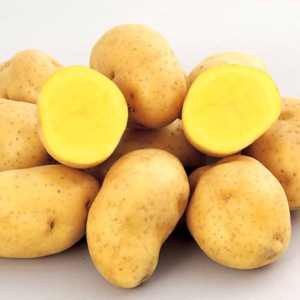 インカのめざめ インカのめざめ（M） 【業務用食材の仕入れなら八面六臂】