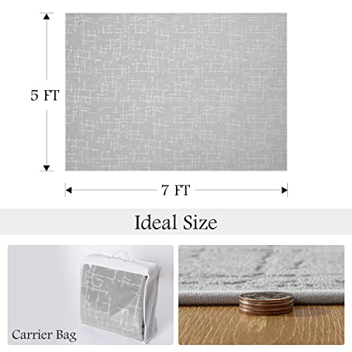 Area Rug-5X7 Rug For Living Room Contemporary Durable Carpet-Washable Rug Suitable For Living Room Bedroom Dinning Room Laundry Room Study Room #TOP1