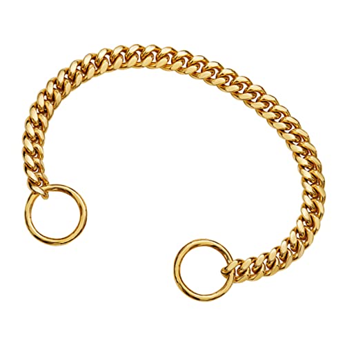 BESPORTBLE Chain Fashionable Gold Chain Necklace for Your Little Pet