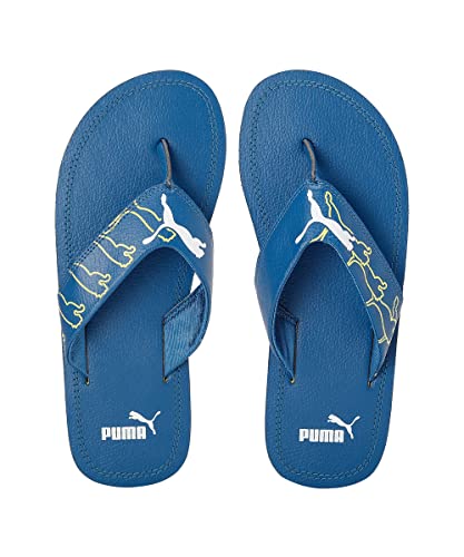 Image of Puma Unisex Adult Luke V1 Flip flop