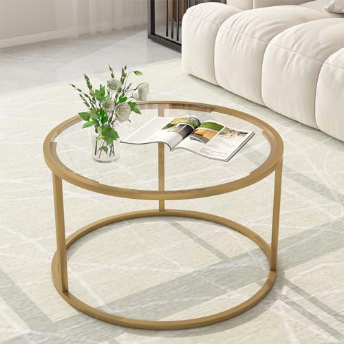 Glass Coffee Table,Round Gold Coffee Table for Small Space,27' Modern Center Table,Glass Top Clear...