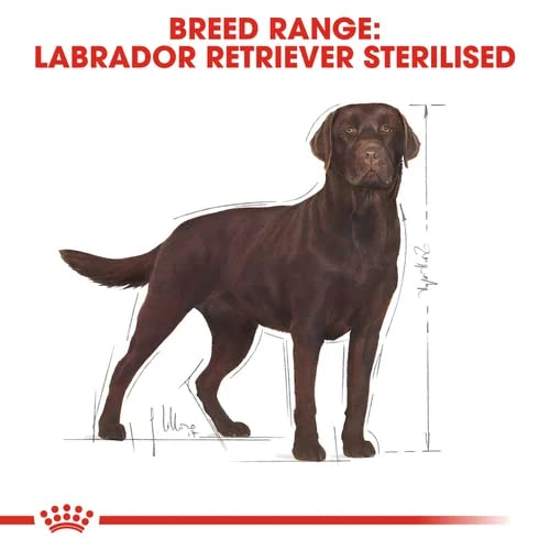 Royal Canin Hundefutter Labrador Retriever Sterilised, 12 kg, 1er Pack (1 x 12 kg)