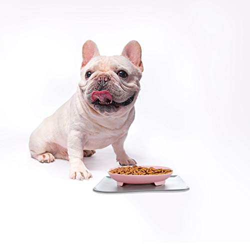 TEHAUX 1 Conjunto de Estação de Alimentação de Água e Comida para Animais de Estimação com Tapete à