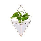 Gaeruite maceta para colgar en la pared - Decoración geométrica de pared contenedor para colgar maceta Jarrón de interior jardín decoración para plantas suculentas, planta de aire