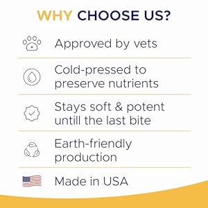 Omega 3 Fish Oil for Dogs (180 Ct) - Skin & Coat Chews - Dry & Itchy Skin Relief + Allergy Support - Shiny Coats - EPA&DHA Fatty Acids - Natural Salmon Oil Chews Promotes Heart, Hip & Joint Support Omega 3 Fish Oil for Dogs 180 Ct Skin Coat Chews Dry Itchy Skin Relief Allergy Support Shiny Coats EPADHA Fatty Acids Natural Salmon Oil Chews Promotes Heart Hip Joint Support