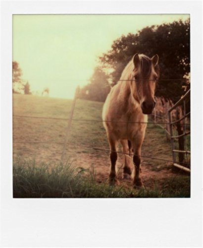 Amazon | IMPOSSIBLE ポラロイド用 インスタントフィルム INSTANT