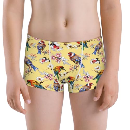 Boys' Cotton Boxer Brief Soft Underwear-Bright Birds