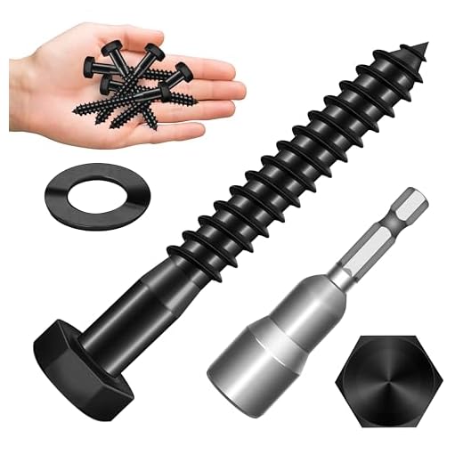 Stainless Steel 12-Set Lag Bolt Kit