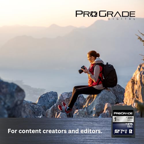 Image of ProGrade Digital SDXC UHS-II V90 Iridium Memory Card (1TB)