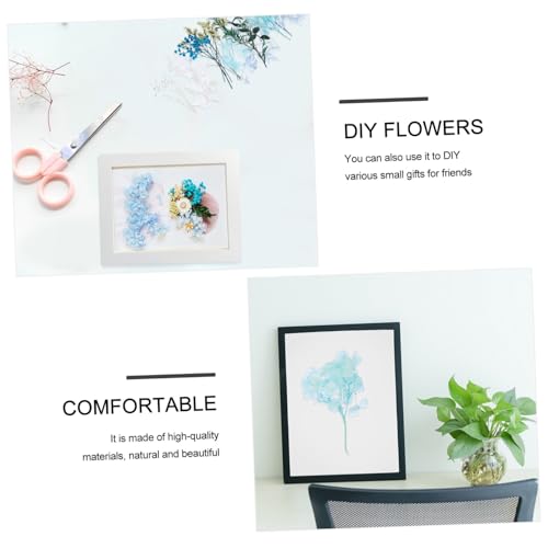 Kit de flores secas para manualidades DIY DECHOUS miniatura 3