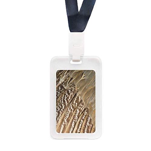 Étui de protection transparent pour carte motif serpent aux finitions premium