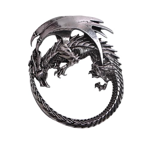 Image of 2PCS Norse Viking Brooch for Women - Retro Dragon Talisman Jewelry, Unique Gift for Men (2, DRL3)