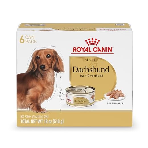 Royal Canin Breed Health Nutrition Dachshund Adult Loaf in Sauce Dog Food, 3 oz (Pack of 6)