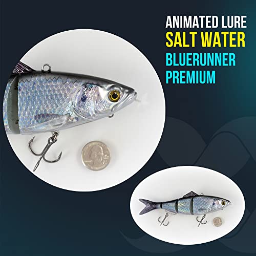 アニメーションルアー 海水 (ブルーランナープレミアム) 2枚目