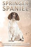  Springer Spaniel: Wissenswertes über Hunde für Kinder #20