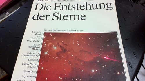 ENTSTEHUNG DER STERNE: Interstellare Materie (Verständliche Forschung)