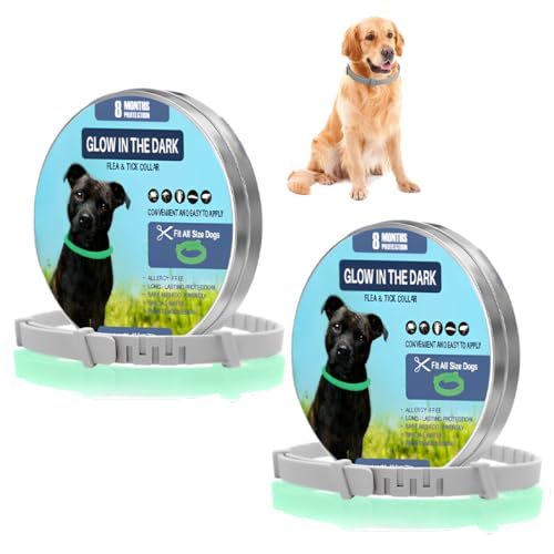 NHQZ 2 PCS collar luminoso de seguridad para perros y gatos, hasta 8 meses de duración, tamaño ajustable, fluorescente, universal
