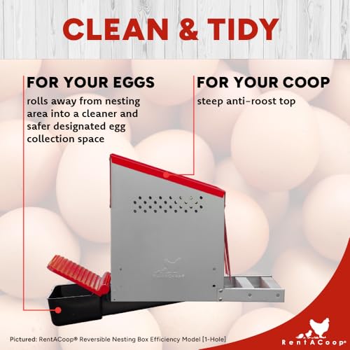 RentACoop Roll-Out Reversible Nesting Box Suite (3 Compartment) for Chickens, Ducks, Poultry - Image 6