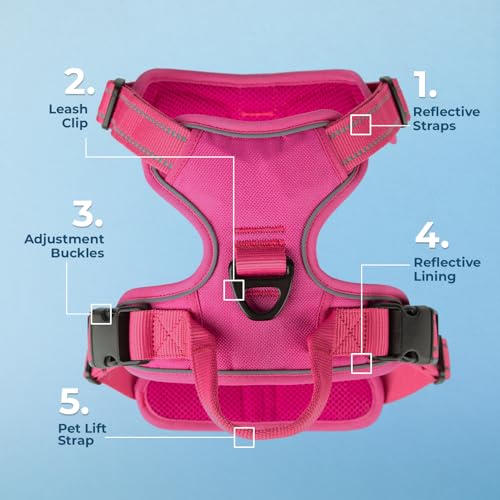 Image of Voyager Dog Harness Dual Leash Attachment No-Pull Control Adjustable Soft but Strong Pet Harness for Medium and Large Dogs with 3M Reflective Technology, Leash Set Fuchsia Nylon, S (Chest: 16-20 inch)
