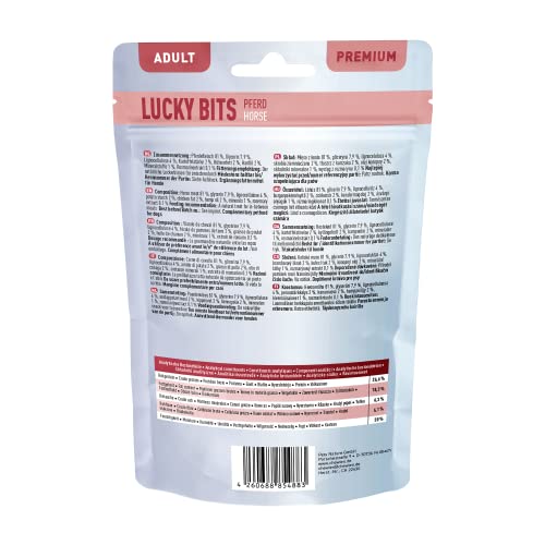 Chewies Lucky Bits Pferd Adult Hundeleckerli - Hunde-Leckerlis getreidefrei & Soft mit viel Protein und Superfoods wie Bierhefe oder Ginkgo, ohne Zucker (100 g)