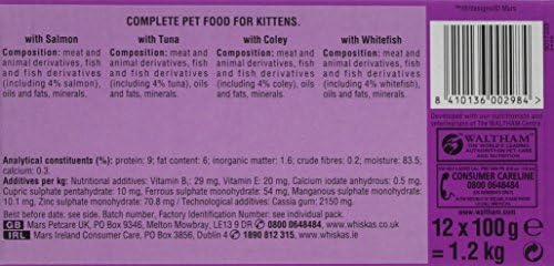 whiskas Junior Wet Cat Food for Kittens and Young Cats 2-12 Months, Fish Selection in Jelly, 48 Pouches (48 x 100 g)