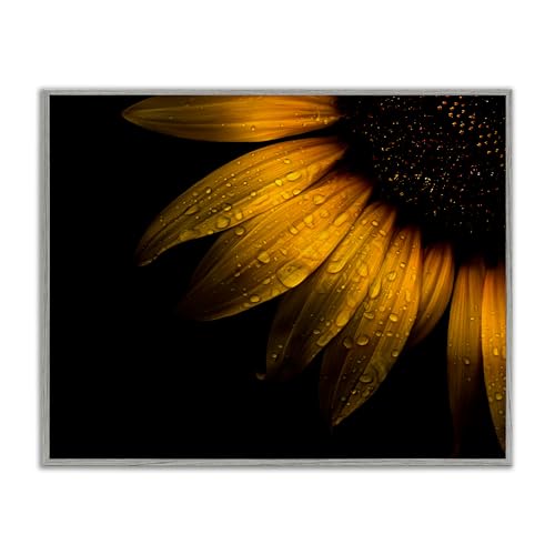 Tournesol blanc Stupell habillez un mur vide avec élégance