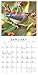 Songbirds of North America 2017 Mini Calendar