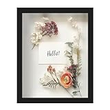 FrameWorks 11” x 14” Black Wooden Shadow Box Frame – Display Case with Soft Felt Back, Memory Box with Tempered Glass, Display Box with Elegant White Ball Push Pins, Wooden Flower Box