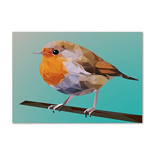 Dosseret en verre trempé 100x70cm Tulup fond de hotte cuisine avec motif oiseau de robin orange
