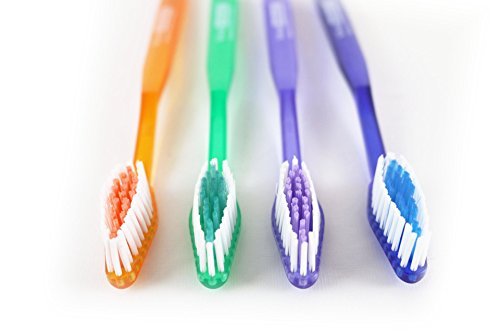 Vivid Unibrush II Premium Quality Toothbrushes – Pre-Pasted Toothpaste on Bristles – Individually Wrapped – Designed for Daily Use, Overnight Guests, Traveling, (1,000 Pack), UniBrush II, by Vivid