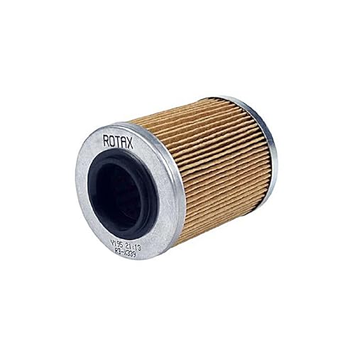 Can-Am New OEM, Oil Filter, Pack Of 2, 420256188