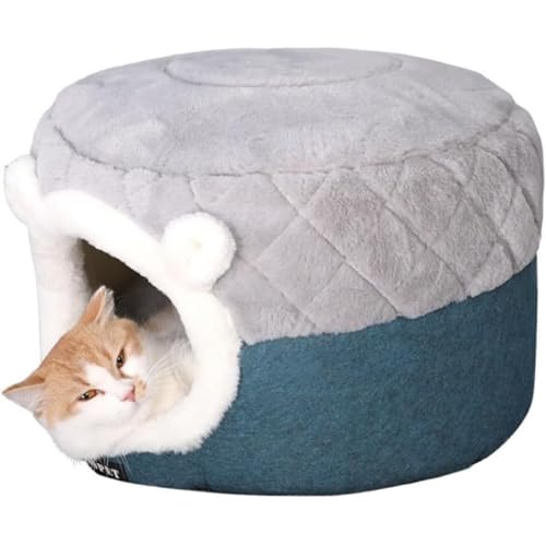 ^Lp@\ybgxbh h[^En`̑` 􂦂 ӂӂۉh ~ ėp}bgp p (S)