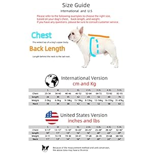 “The Puppy Fans”Waterproof Dog Jacket for Small Medium Dog Puppy Raincoat with Hoodie Dog Winter Coat Windbreaker (Flag Black, 2XL)